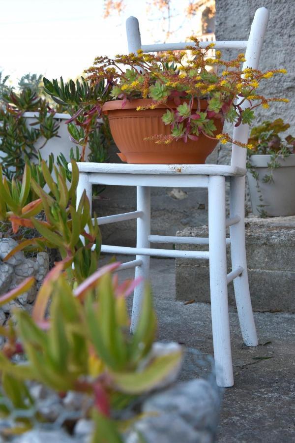 Greenvine Apartment Zadar Zewnętrze zdjęcie