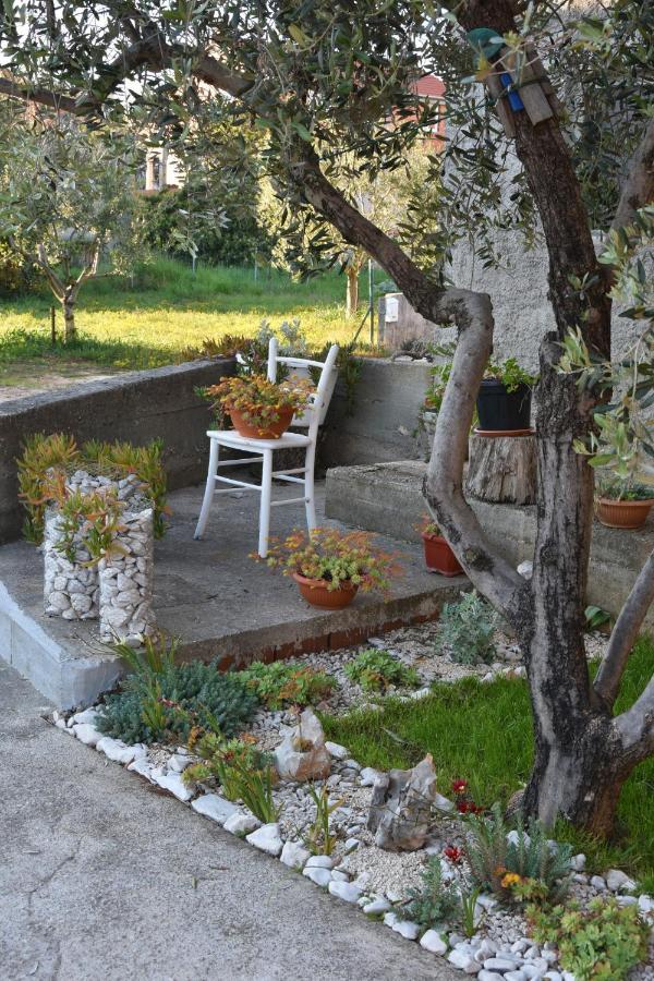 Greenvine Apartment Zadar Zewnętrze zdjęcie
