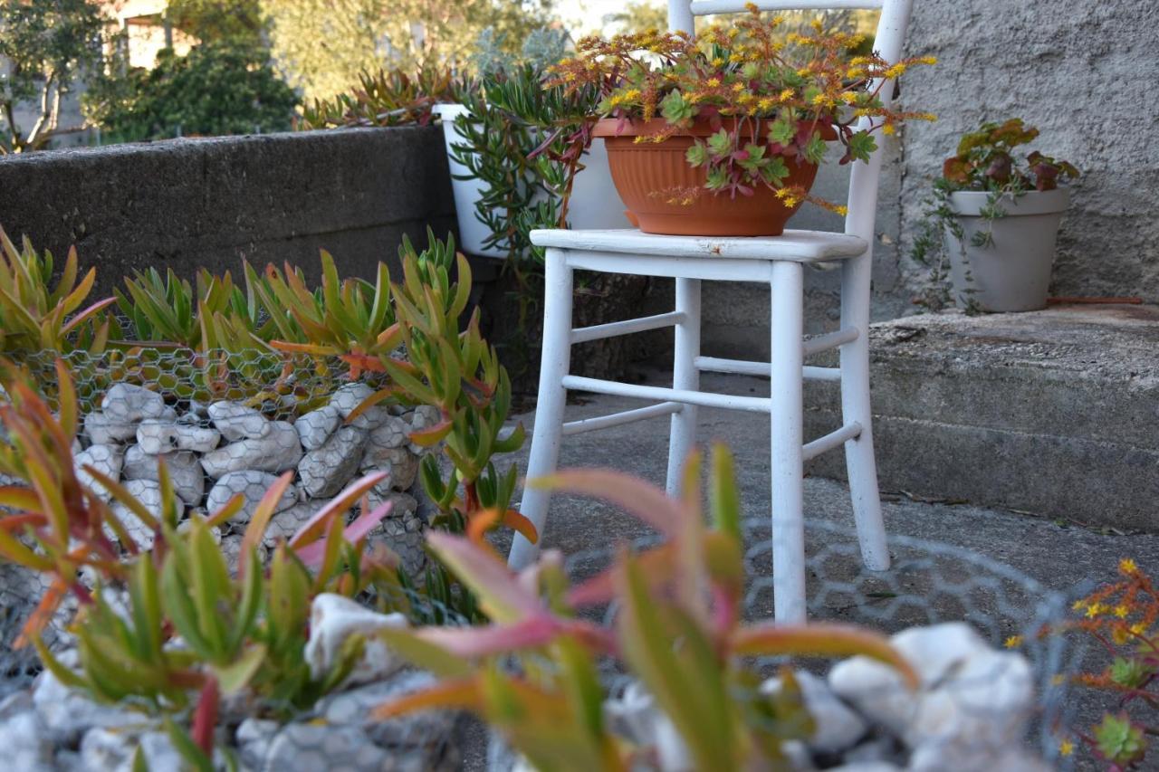 Greenvine Apartment Zadar Zewnętrze zdjęcie